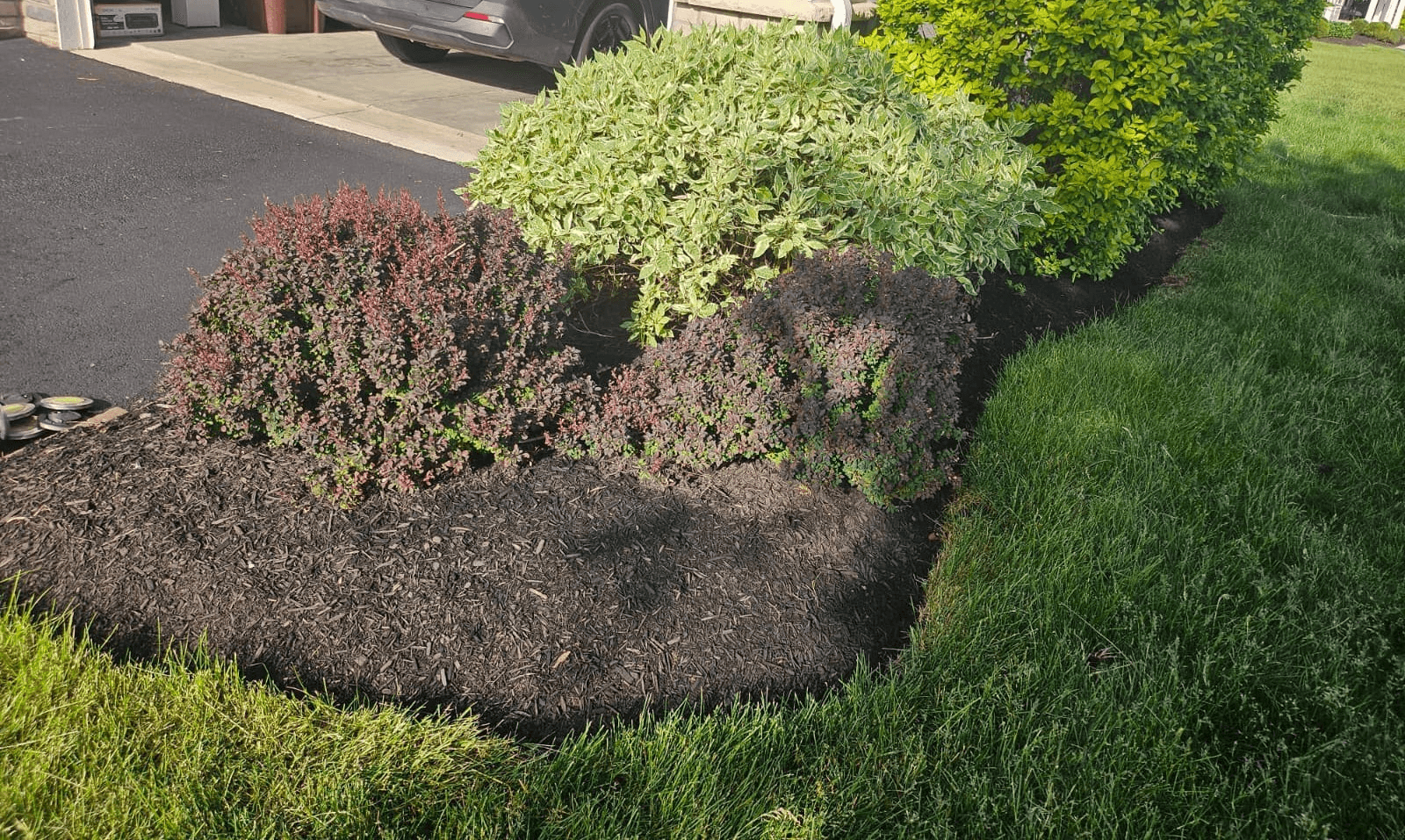 Before